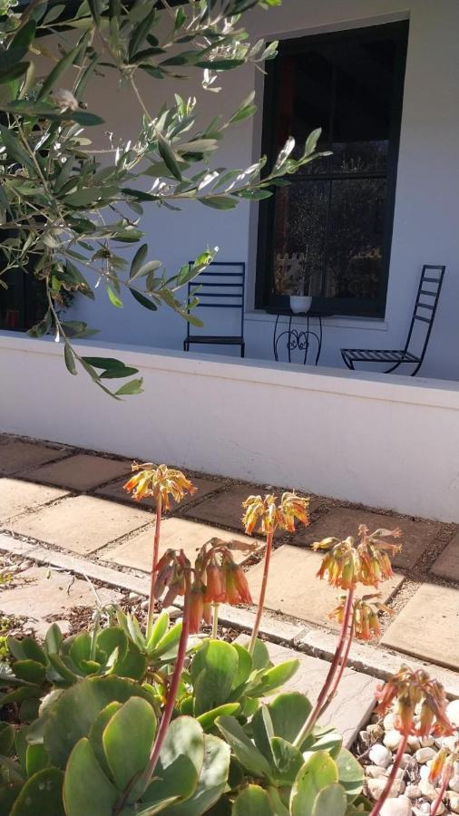 6 Olives B&B 달링 외부 사진